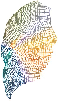 Grafik: DER STANDARD/Köck Artikelbild: Die Biometrie lässt eine immer genauere Identifikation des Menschen zu. Damit er
dennoch nicht "gläsern" wird, hat die EU ein Projekt zur Wahrung der Grundrechte
im Zeichen verstärkter Sicherheitsbemühungen gestartet. - Grafik: DER STANDARD/Köck