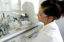Foto: standard/Cremer Artikelbild: Mehr Unterstützung für Jungforscher fordert die ÖH mit ihrer Doktorats-Initiative. - Foto: standard/Cremer