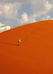 Foto: H.Reitmeir Artikelbild: Wüste Namib auf den weltberühmten Sanddünen von Sossusvlei/Namibia
- Foto: H.Reitmeir