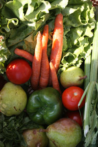 Zu Beginn wird das Angebot frisches Obst und Gemüse von Hans Leurer aus
Wallern und von der wunderbaren "Alles Apfel"-Initiative umfassen. Zu Beginn wird das Angebot frisches Obst und Gemüse von Hans Leurer aus
Wallern und von der wunderbaren "Alles Apfel"-Initiative umfassen.