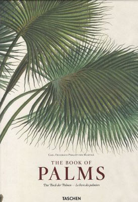 Carl Friedrich Philipp von Martius, "The Book of Palms" (Hrsg. Walter
Lack). € 99,- / 450 Seiten. Taschen Verlag, Köln 2010 Carl Friedrich Philipp von Martius, "The Book of Palms" (Hrsg. Walter
Lack). € 99,- / 450 Seiten. Taschen Verlag, Köln 2010