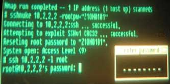 Nmap Run