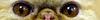 WATCHINGYOU