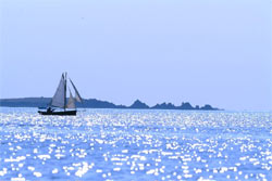 www.simplyscilly.co.uk