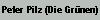 Peter Pilz (Die Grünen)
