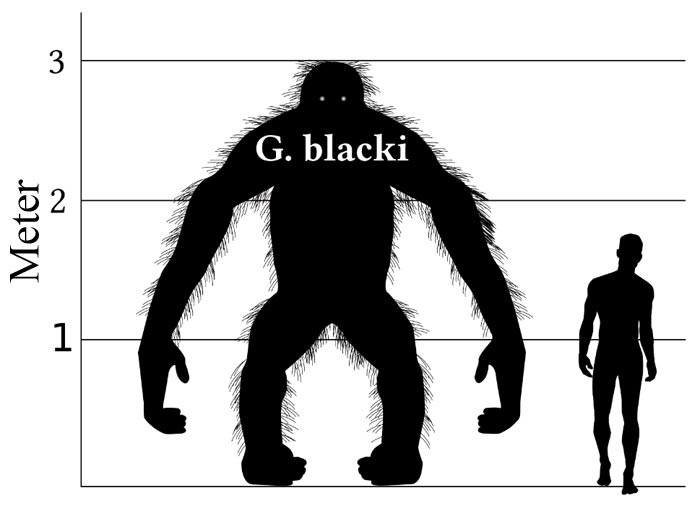 1388693035314-blacki.jpg