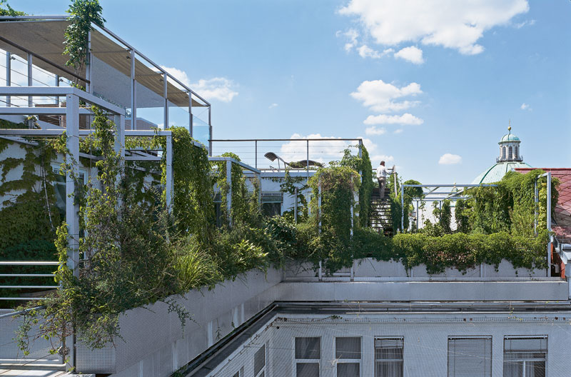 Richtige Gartengestaltung: "Die Natur gewinnt immer" - Garten