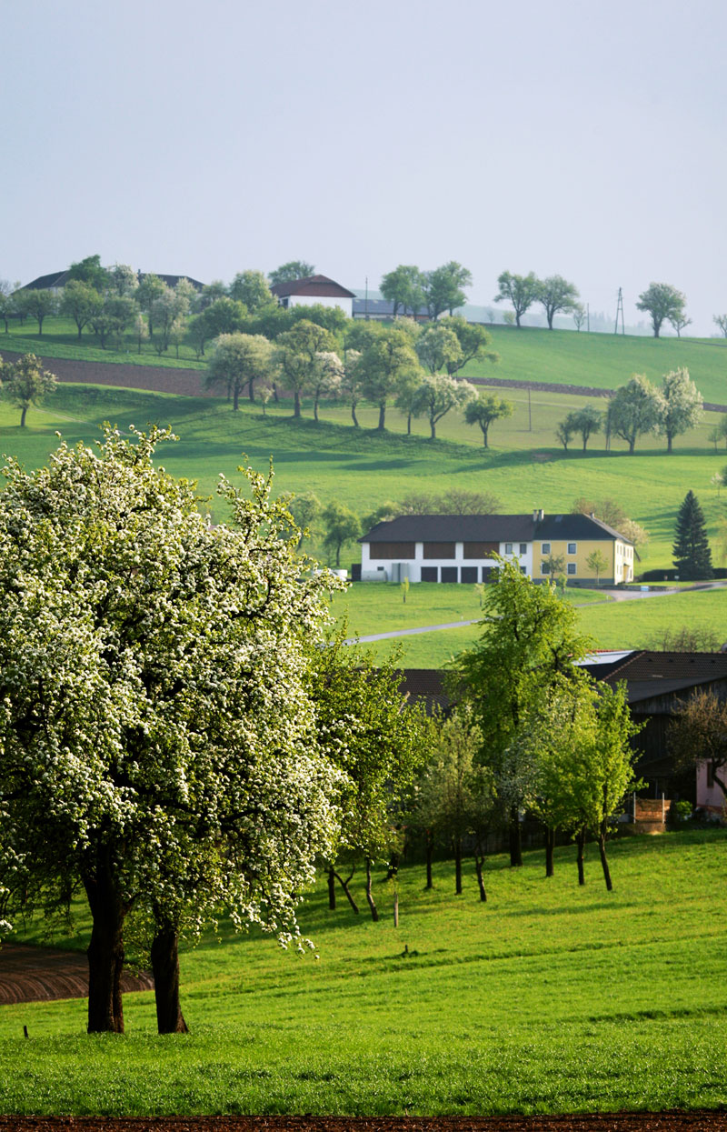 Bekanntschaften hof saale