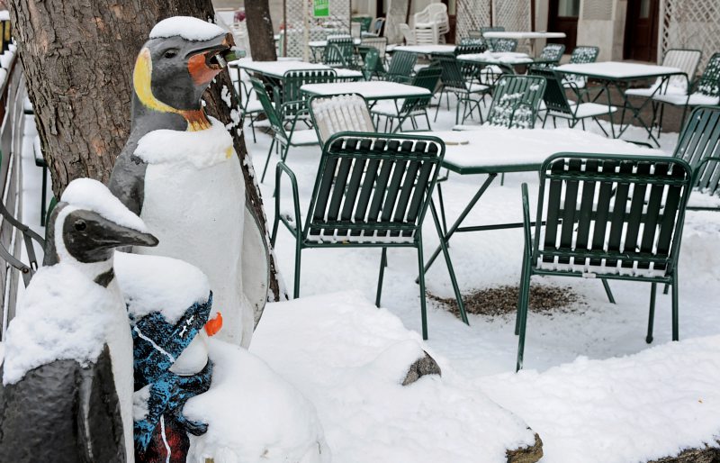 foto: regine hendrich