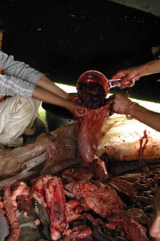 Titelbild