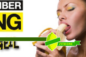 Titelbild