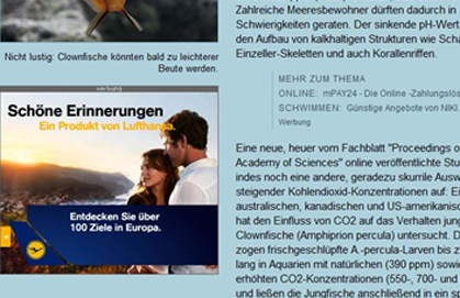 Titelbild