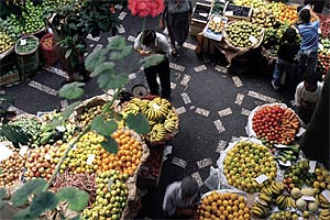 foto: madeira tourism