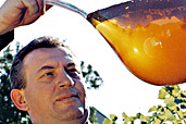Foto: www.kracher.at