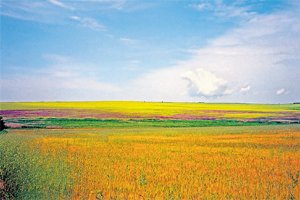 foto: bulgaria travel
