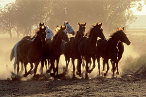 foto: bullo river 