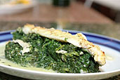 foto: suchanek