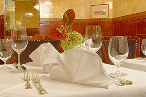 foto: schwarzes kameel