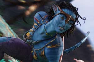 Foto: Centfox
