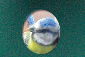 foto: hersteller