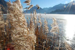 foto: weissensee information