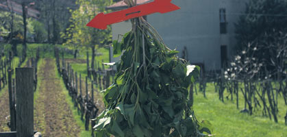 foto: georg desrues