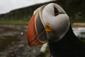 foto: www.visiticeland.com