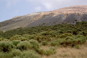 foto: wikipedia.org