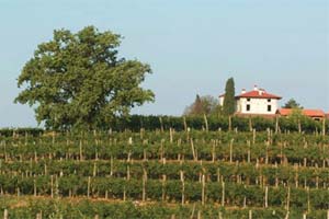 Foto: slovenia.info