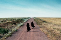 Foto: Women without Men/polyfilm