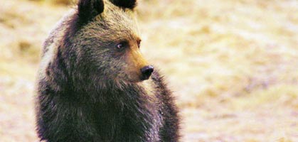 foto: www.stunningslovakia.com