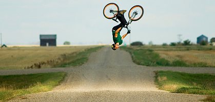 foto: life cycles