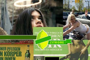 /montage: diestandard.at