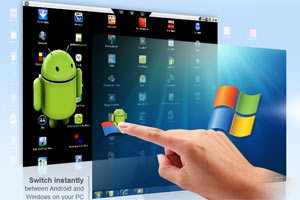 screenshot: bluestacks