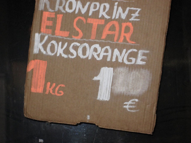 foto: ines fohring