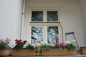 foto: derstandard.at