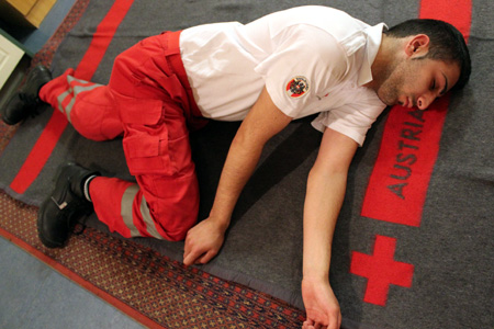 tinsobin/derstandard.at