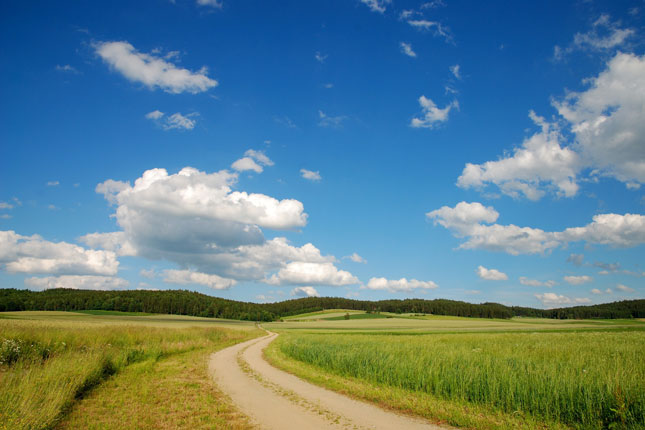 Foto: waldviertel tourismus/reinhard mandl