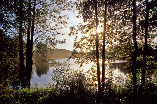 Foto: waldviertel tourismus/reinhard mandl