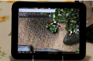 Foto: screenshot/derstandard.at