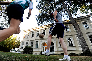 foto: der standard/heribert corn foto: der standard/heribert corn