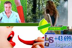 Foto/Montage: diestandard.at