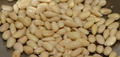 Foto: derstandard.at