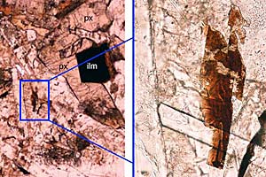 Foto: geology,  b. rasmussen et al.