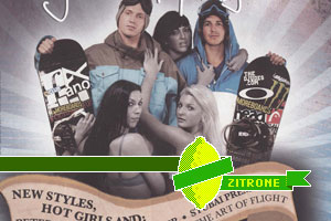 dieStandard/Moreboards