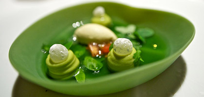 foto: katharina schell