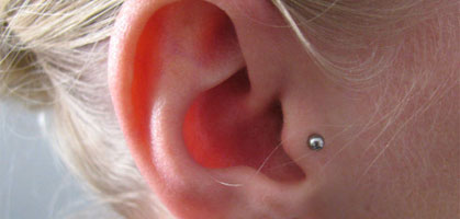 foto: derstandard.at