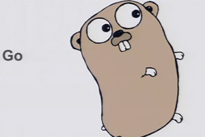 foto: screenshot, derstandard.at