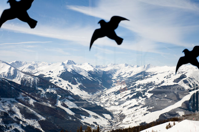 foto: leonhard hilzensauer
