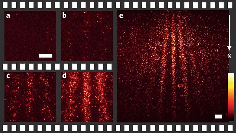 foto: t. juffmann et al
